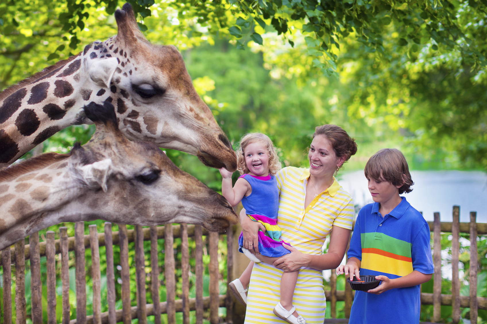 Five Top Tips For Taking Your Kids To the San Diego Zoo As a Solo Parent